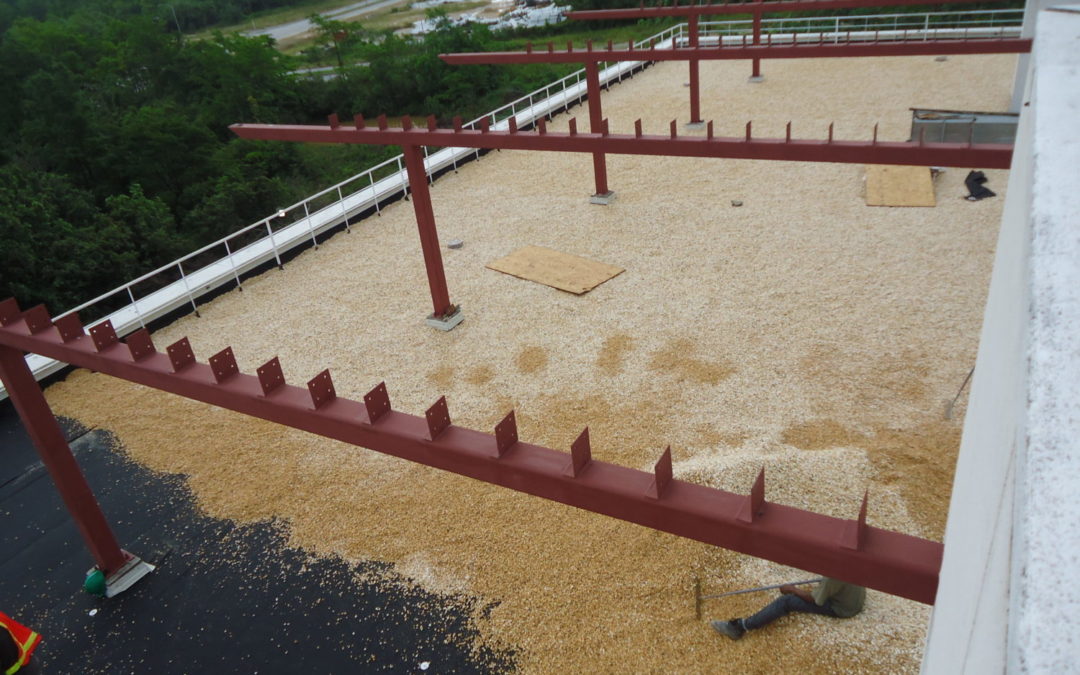 Eteck flagship Building, Roof Gardens